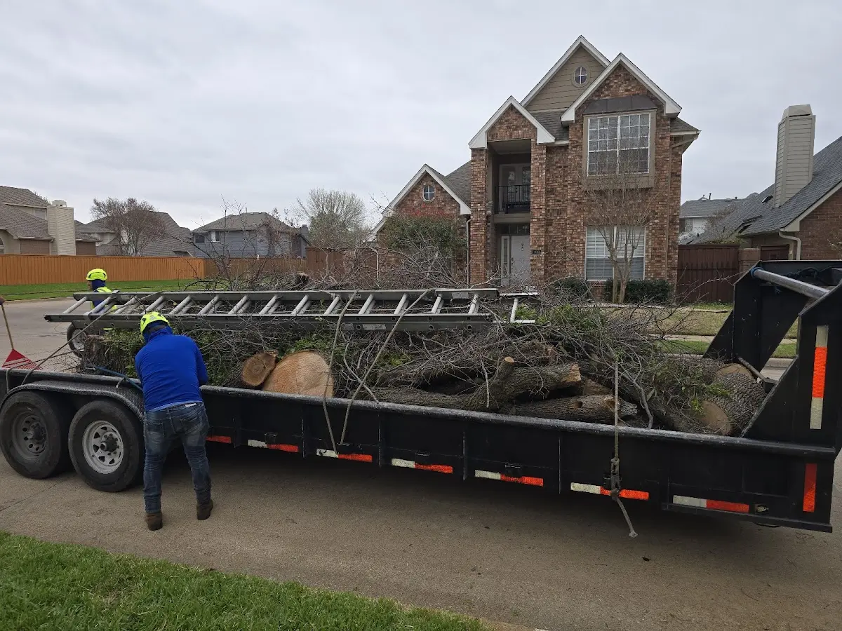 Expert Tree Removal with proper safety equipment in Gibbs